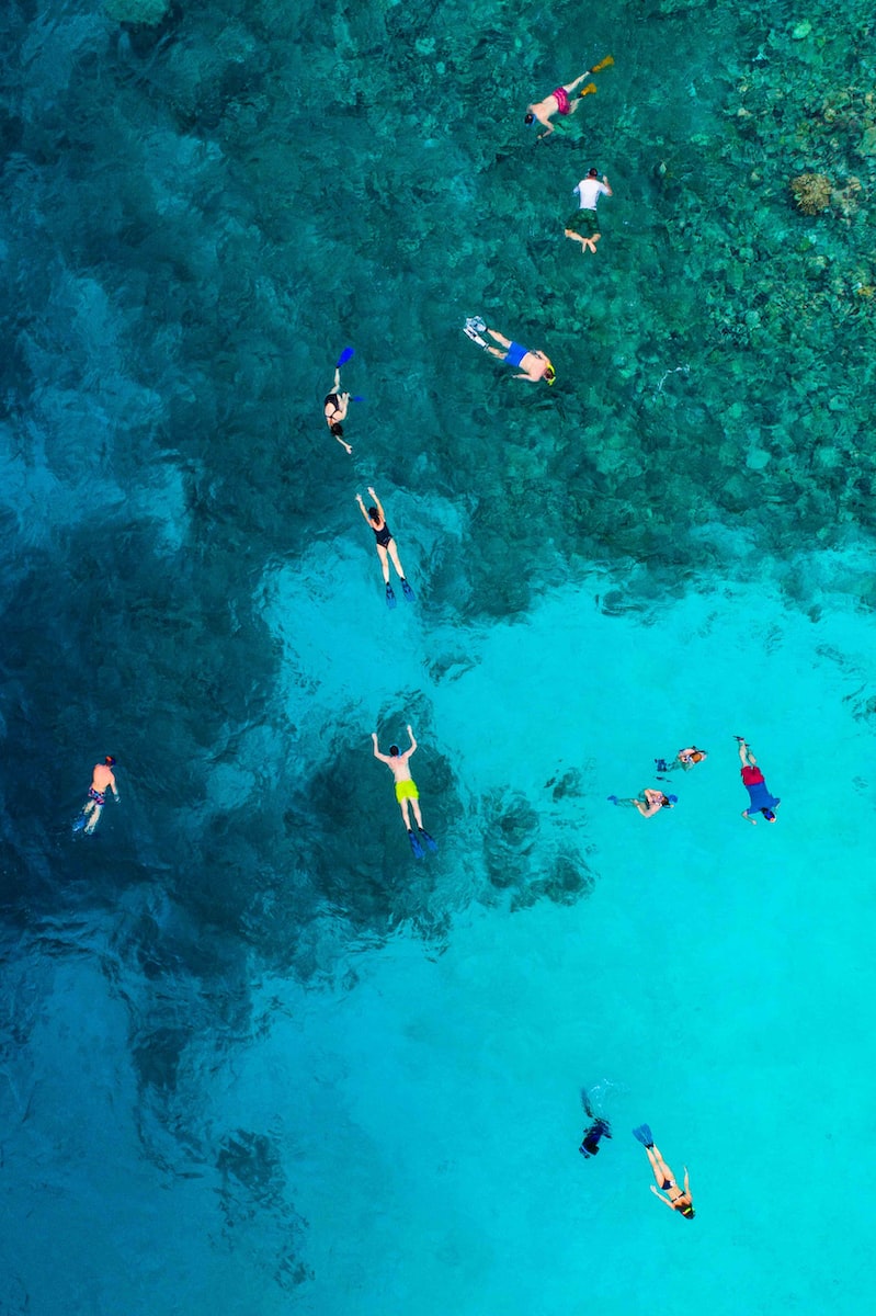aerial view photography of people in body of water